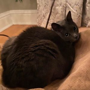 Meet your Posher, Joelyn